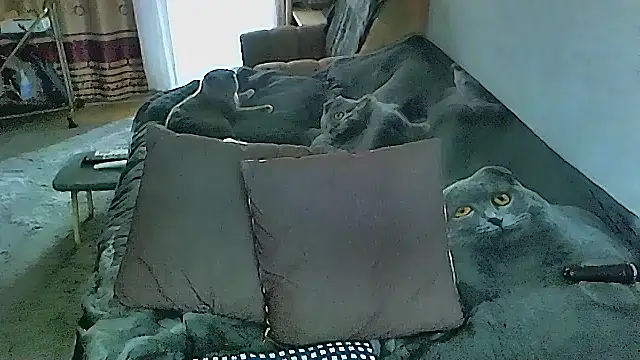 Snapshot of sex2 chatting on October 16, 2025, 2:31 am sex2 online show from October 16, 2025, 2:31 am