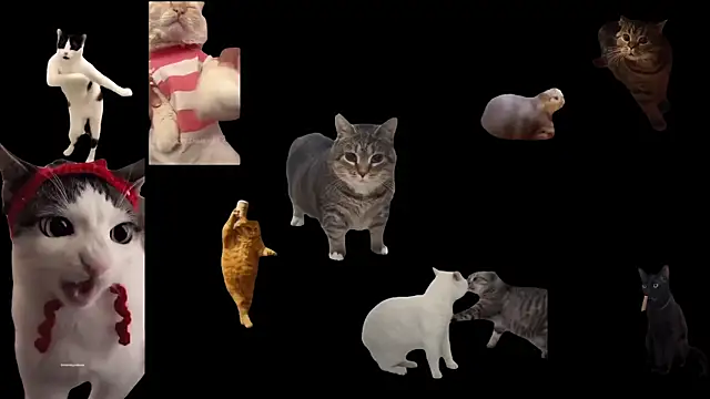 Snapshot of aberaaruba chatting on October 29, 2025, 9:41 am aberaaruba online show from October 29, 2025, 9:41 am