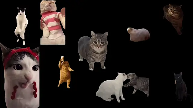 Snapshot of aberaaruba chatting on November 12, 2025, 11:36 am aberaaruba online show from November 12, 2025, 11:36 am