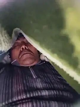 Pitercom online show from February 13, 2026, 4:29 pm