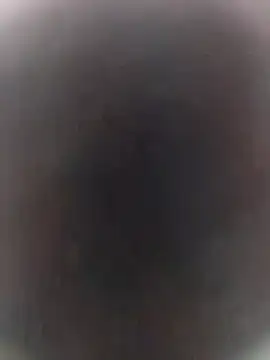 Pitercom online show from October 7, 2025, 4:46 am