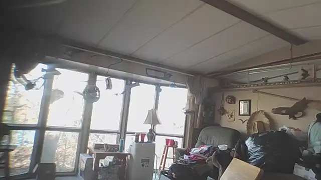 Yankeedave420 online show from November 14, 2025, 5:27 pm