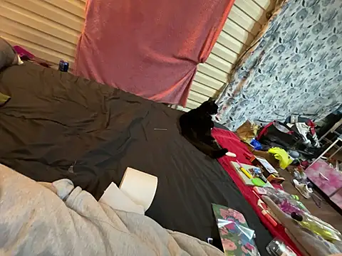 Snapshot of bcthebest chatting on March 2, 2025, 9:10 am bcthebest online show from March 2, 2025, 9:10 am