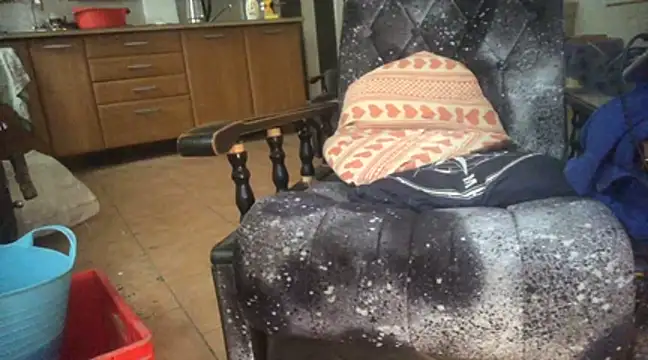 Snapshot of translove chatting on January 5, 2025, 9:48 am translove online show from January 5, 2025, 9:48 am