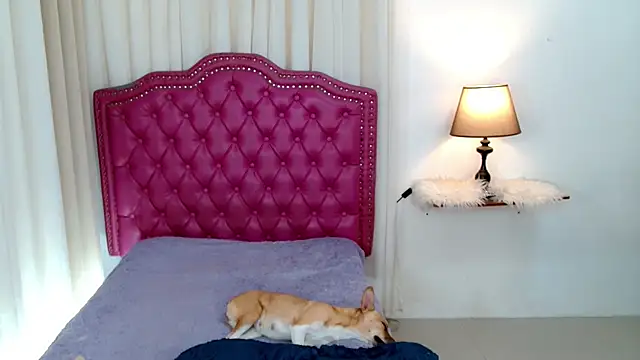 DreamLADYBOY online show from February 24, 2026, 1:06 am