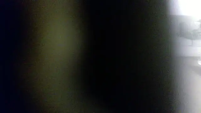 palidin1 online show from February 1, 2026, 7:50 am