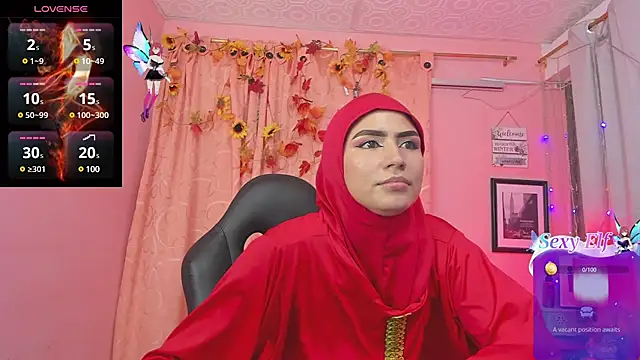 Snapshot of DarshaKhemu chatting on February 25, 2025, 8:32 pm DarshaKhemu online show from February 25, 2025, 8:32 pm