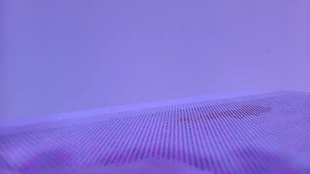 shelsyloreds online show from November 28, 2025, 11:54 am