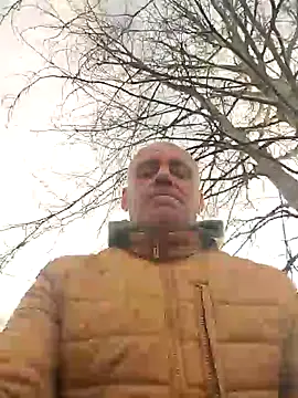 wilkalfa online show from December 18, 2024, 11:13 am