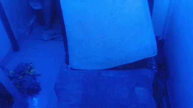 selenax2023 online show from February 2, 2026, 11:04 pm