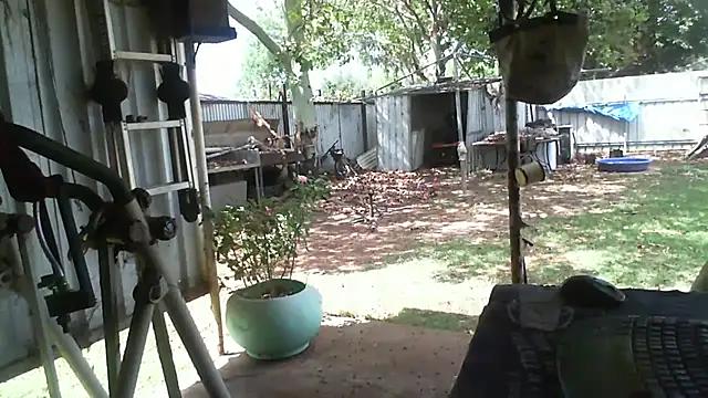 Snapshot of herbie010666 chatting on November 14, 2025, 4:05 am herbie010666 online show from November 14, 2025, 4:05 am