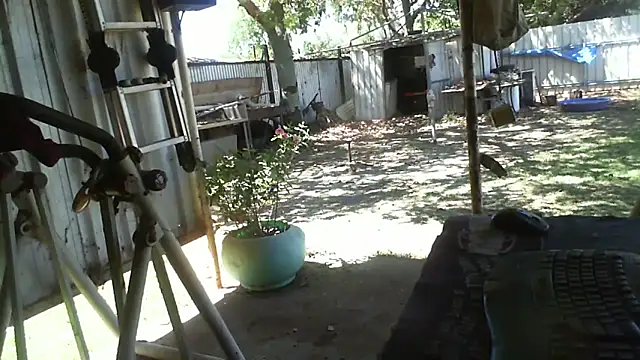 Snapshot of herbie010666 chatting on October 30, 2025, 3:49 am herbie010666 online show from October 30, 2025, 3:49 am