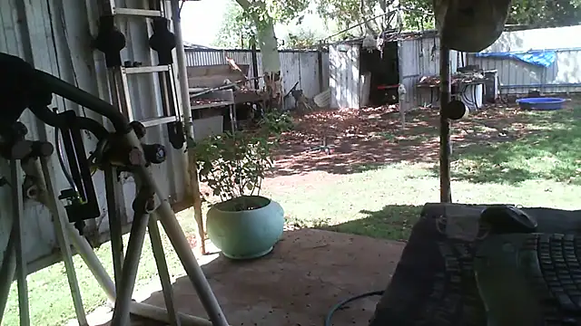 Snapshot of herbie010666 chatting on November 20, 2025, 4:46 am herbie010666 online show from November 20, 2025, 4:46 am