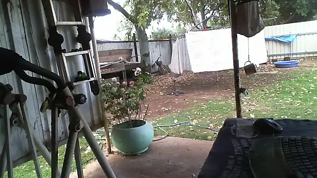 Snapshot of herbie010666 chatting on October 18, 2025, 4:14 am herbie010666 online show from October 18, 2025, 4:14 am