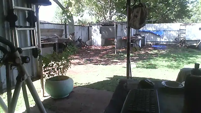 Snapshot of herbie010666 chatting on December 5, 2025, 5:17 am herbie010666 online show from December 5, 2025, 5:17 am