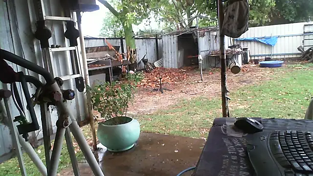 Snapshot of herbie010666 chatting on November 13, 2025, 4:05 am herbie010666 online show from November 13, 2025, 4:05 am