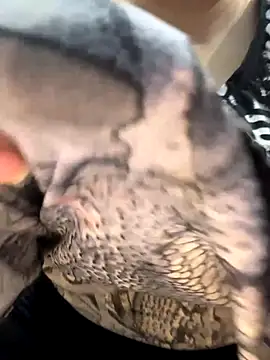 Preet Kaur 69 online show from December 19, 2025, 6:43 pm