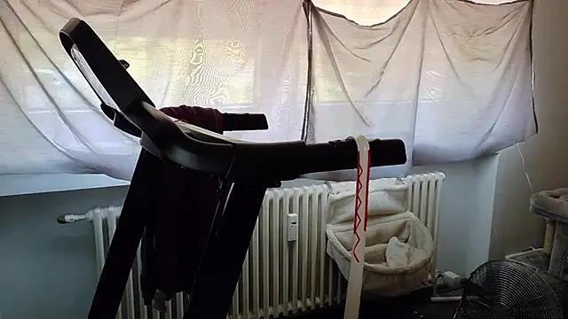 wetgerman 2 online show from August 3, 2026, 9:59 am