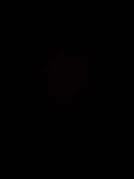 peqetero online show from May 12, 2026, 2:08 am