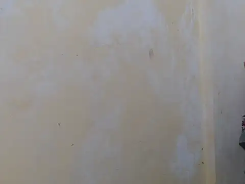 Alliayah Hollyx online show from October 19, 2025, 5:05 pm