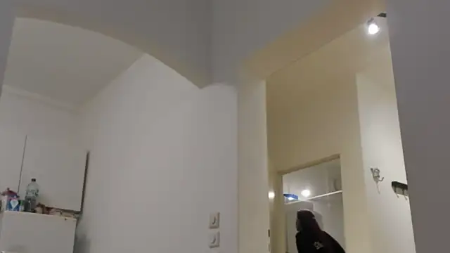 Snapshot of tamarapervert chatting on November 20, 2025, 6:52 pm tamarapervert online show from November 20, 2025, 6:52 pm