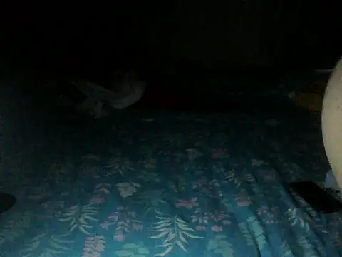 Snapshot of Sexyrkv91 chatting on December 13, 2025, 8:04 pm Sexyrkv91 online show from December 13, 2025, 8:04 pm