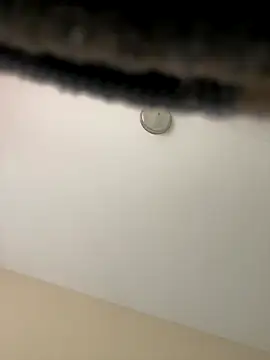 Iced cloudz online show from December 14, 2025, 3:17 pm