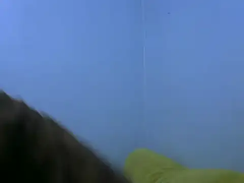 Forsia online show from February 6, 2025, 5:57 am