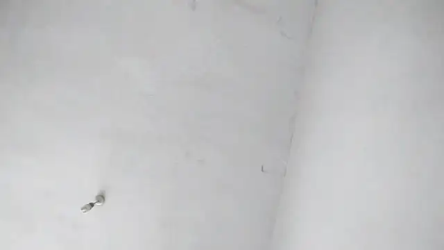 Snapshot of Jigolo_mustafa chatting on September 29, 2025, 11:38 am Jigolo mustafa online show from September 29, 2025, 11:38 am