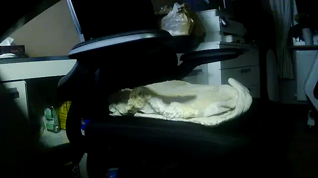 Snapshot of suedel65 chatting on February 5, 2026, 2:29 am suedel65 online show from February 5, 2026, 2:29 am