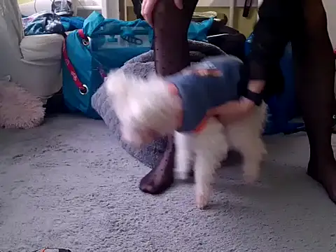 Snapshot of feathersify chatting on February 10, 2026, 8:02 am feathersify online show from February 10, 2026, 8:02 am