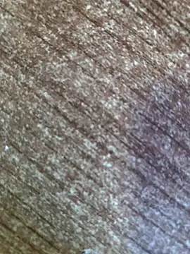 gokhanbey34 online show from October 12, 2025, 7:43 am