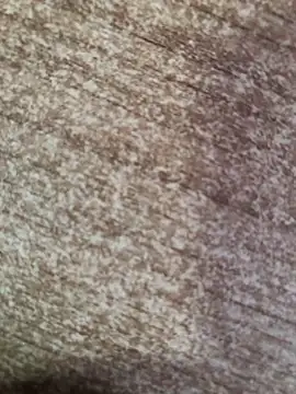 gokhanbey34 online show from October 8, 2025, 2:40 pm