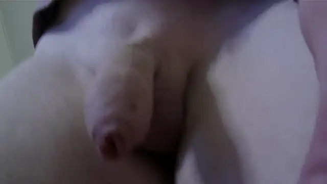CDAdalyn online show from July 22, 2026, 4:47 am