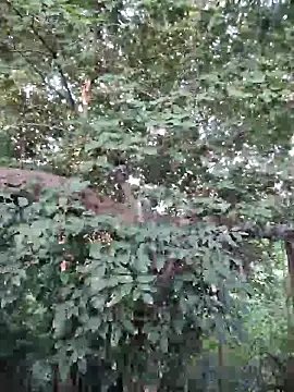 Snapshot of Rinku5553 chatting on September 26, 2025, 2:07 am Rinku5553 online show from September 26, 2025, 2:07 am