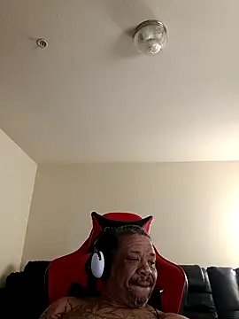 yellowwetfox online show from March 16, 2026, 4:10 pm