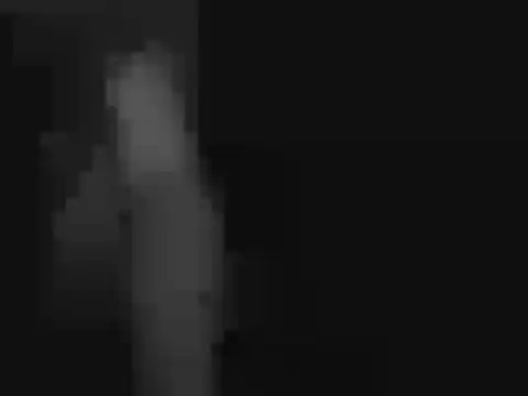 Snapshot of peaches_playz chatting on November 25, 2025, 11:54 am peaches playz online show from November 25, 2025, 11:54 am