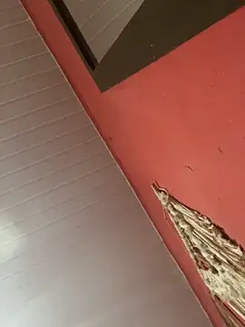 Snapshot of pimenta_gaby chatting on November 4, 2025, 11:03 am pimenta gaby online show from November 4, 2025, 11:03 am