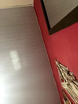 Snapshot of pimenta_gaby chatting on November 15, 2025, 2:21 pm pimenta gaby online show from November 15, 2025, 2:21 pm