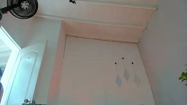 Snapshot of swt-booty chatting on October 18, 2025, 4:31 pm swt-booty online show from October 18, 2025, 4:31 pm