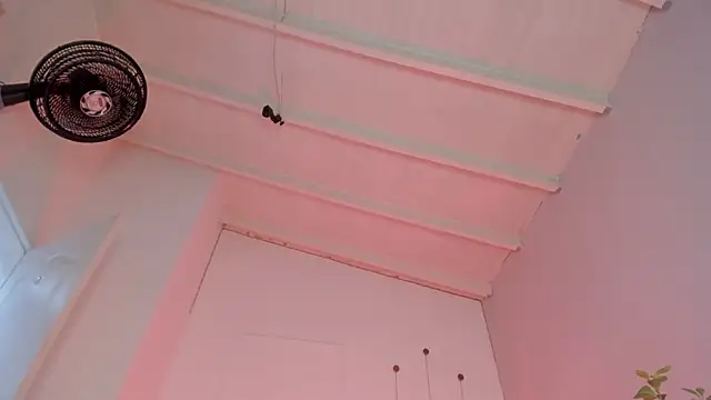 Snapshot of swt-booty chatting on November 19, 2025, 6:52 pm swt-booty online show from November 19, 2025, 6:52 pm