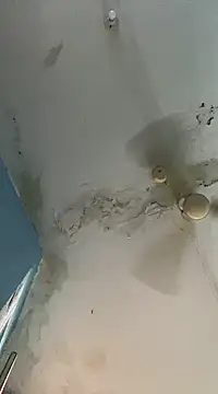 Snapshot of Marino08@xh chatting on February 19, 2025, 5:16 pm Marino08xh online show from February 19, 2025, 5:16 pm