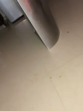 Snapshot of ameliayourfav1 chatting on November 12, 2025, 9:51 pm ameliayourfav1 online show from November 12, 2025, 9:51 pm