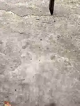 K-27 online show from October 18, 2025, 1:35 pm