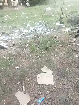 K-27 online show from January 1, 2025, 3:46 pm