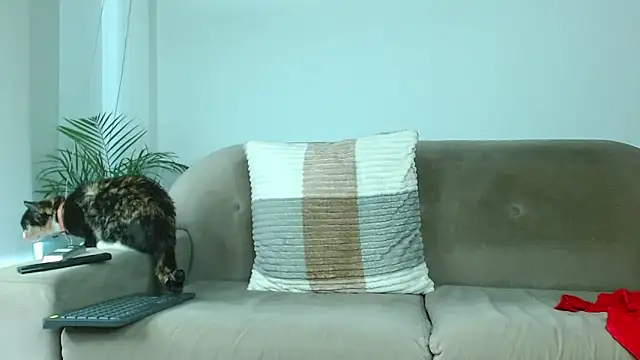 Snapshot of Robyn_Miller chatting on October 9, 2025, 1:00 pm Robyn Miller online show from October 9, 2025, 1:00 pm