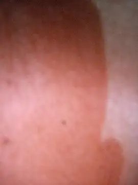 CASADASIGILO2 online show from February 20, 2026, 12:29 am