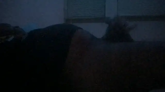 Snapshot of Freaky_dickey chatting on December 22, 2025, 3:01 pm Freaky dickey online show from December 22, 2025, 3:01 pm