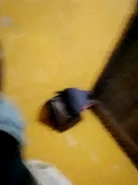 LULE37587001 online show from November 16, 2025, 8:46 pm