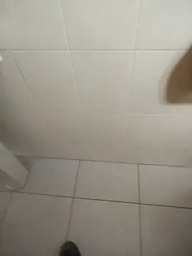 Snapshot of sagrado_1989 chatting on February 16, 2026, 12:20 am sagrado 1989 online show from February 16, 2026, 12:20 am